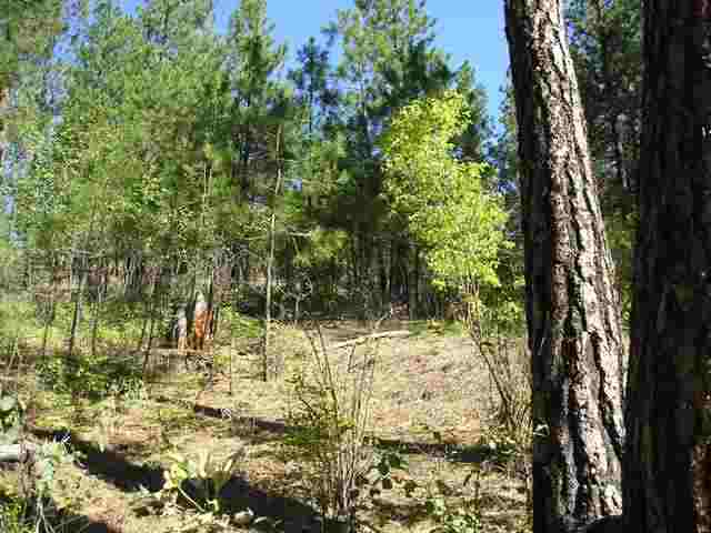 Xxx Arden Butte Road Colville, WA 99114 - Photo 8 of 9 Gallery Image 8