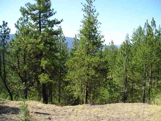 Xxx Arden Butte Road Colville, WA 99114 - Photo 9 of 9 Gallery Image 9