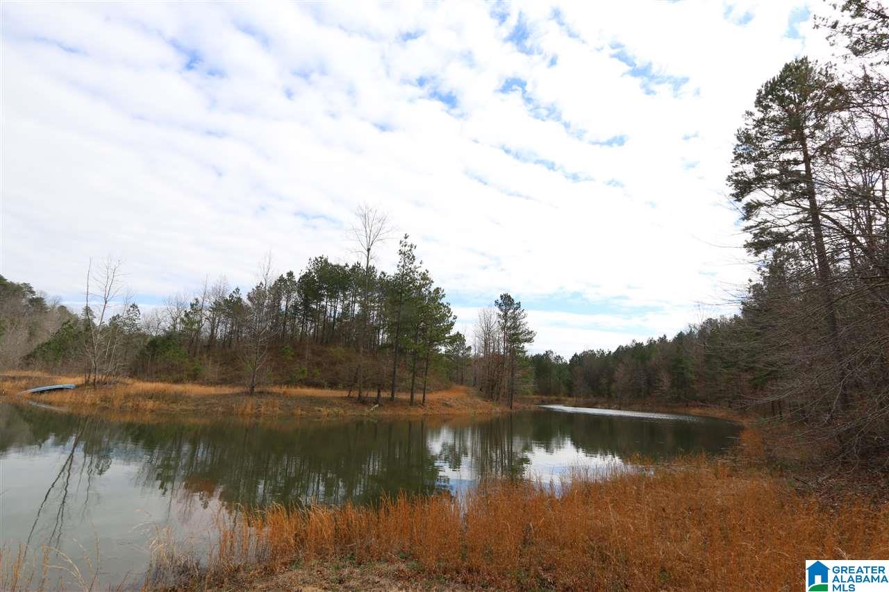 Jackson Trail, Unit 191 Oneonta, AL 35121 - Photo 22 of 40 Gallery Image 22