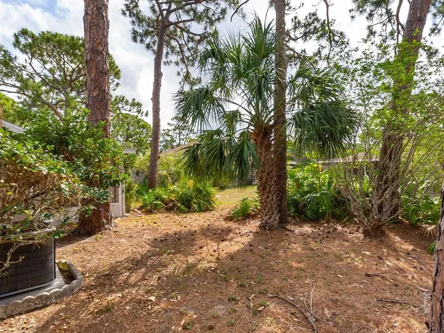 a view of a trees with a tree