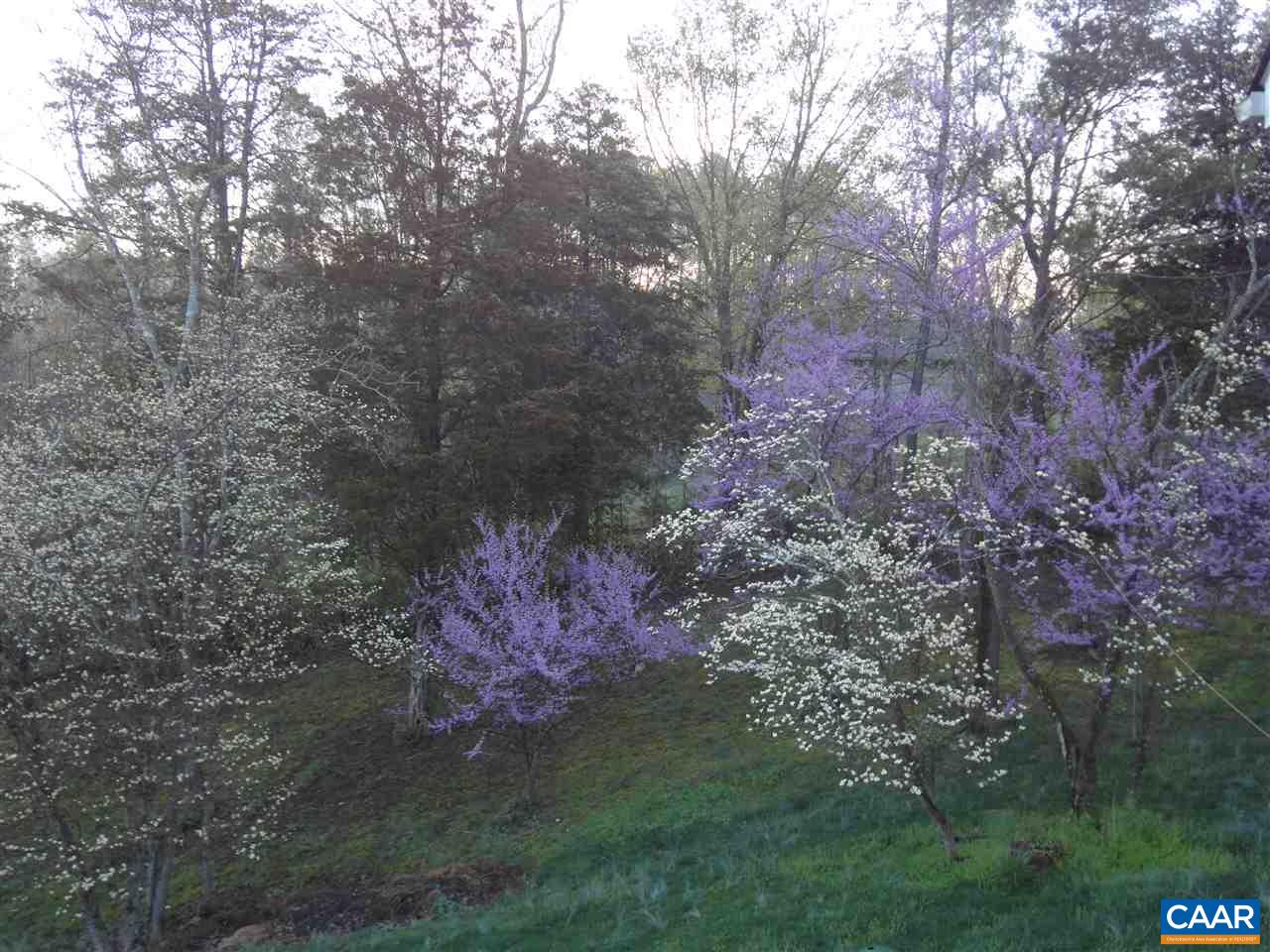 3985 Amicus Road Stanardsville, VA 22973 - Photo 32 of 46 Gallery Image 32