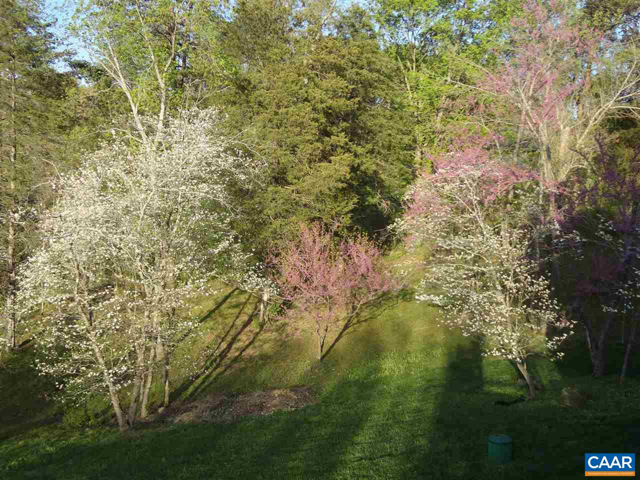 3985 Amicus Road Stanardsville, VA 22973 - Photo 33 of 46 Gallery Image 33