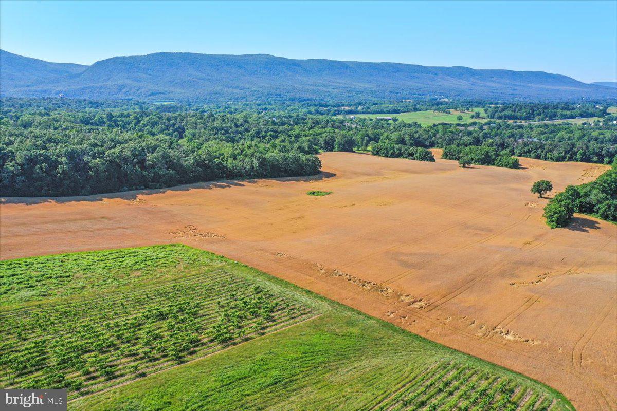 South Ox Road Edinburg, VA 22824 - Photo 1 of 23