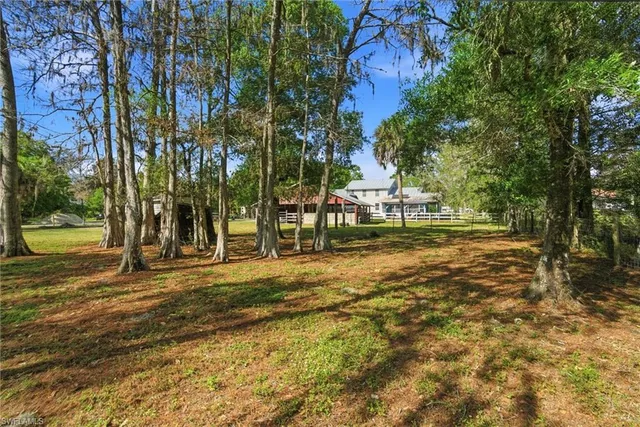 a view of a swimming pool with a yard