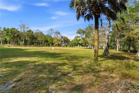 a view of grassy field with trees