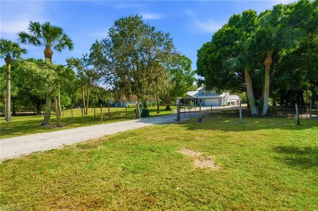 a view of a park with large trees