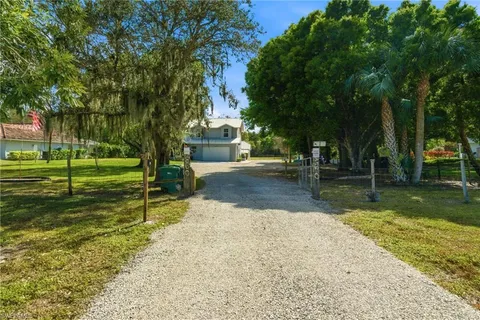 a view of a park with a big yard