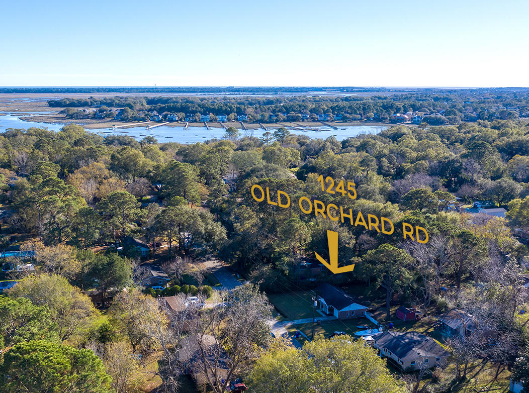 1245 Old Orchard Road Charleston, SC 29412 - Photo 24 of 25 DJI_0597-HDR-2