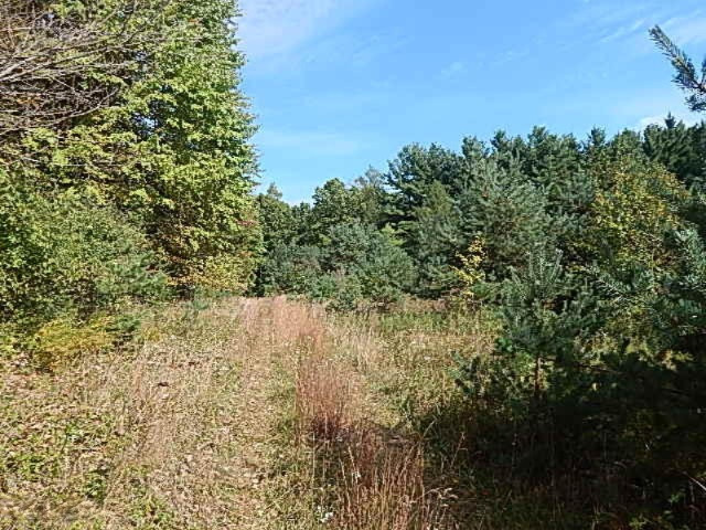 1771 Lawrence Road Hastings, MI 49058 - Photo 1 of 23 DSCN5565