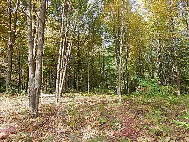 1771 Lawrence Road Hastings, MI 49058 - Photo 11 of 23 DSCN5566