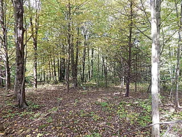 1771 Lawrence Road Hastings, MI 49058 - Photo 12 of 23 DSCN5567