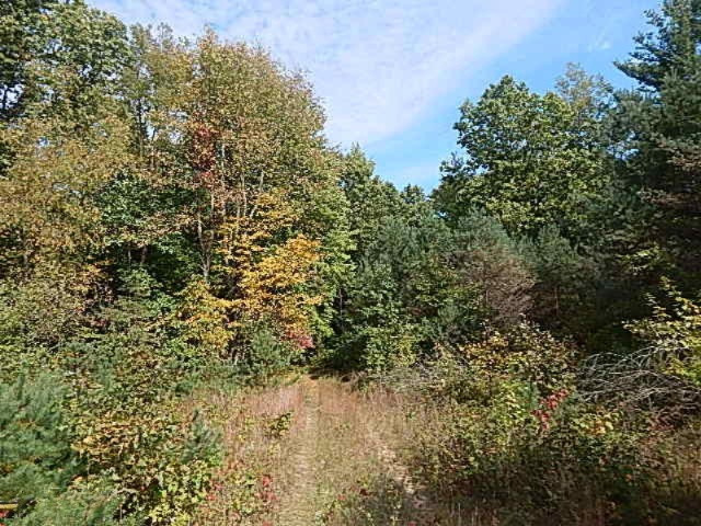 1771 Lawrence Road Hastings, MI 49058 - Photo 14 of 23 DSCN5569