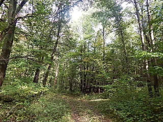 1771 Lawrence Road Hastings, MI 49058 - Photo 16 of 23 DSCN5571