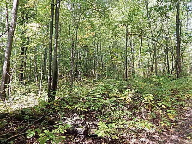 1771 Lawrence Road Hastings, MI 49058 - Photo 17 of 23 DSCN5572