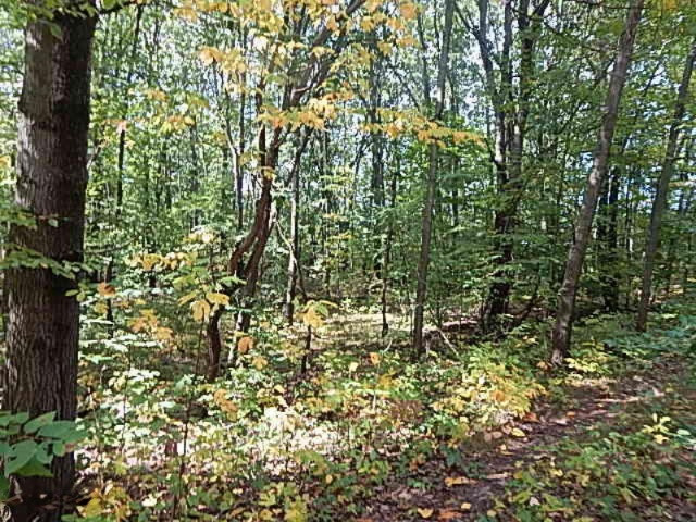 1771 Lawrence Road Hastings, MI 49058 - Photo 18 of 23 DSCN5573