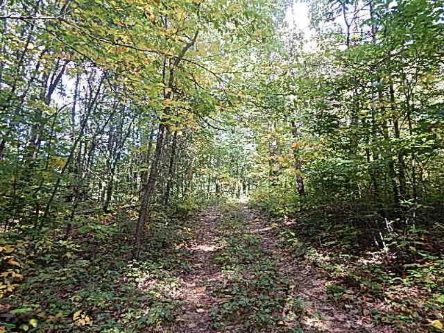 1771 Lawrence Road Hastings, MI 49058 - Photo 19 of 23 DSCN5574