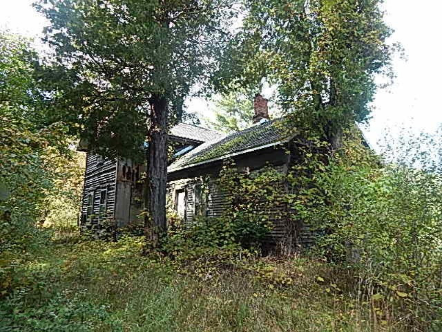 1771 Lawrence Road Hastings, MI 49058 - Photo 2 of 23 DSCN5558