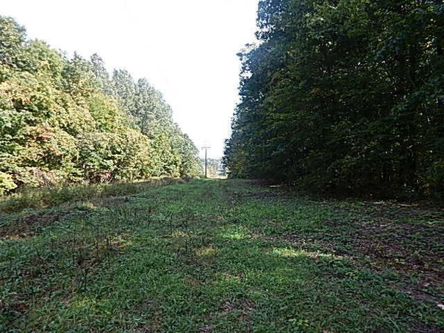 1771 Lawrence Road Hastings, MI 49058 - Photo 21 of 23 DSCN5576