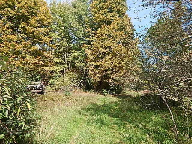 1771 Lawrence Road Hastings, MI 49058 - Photo 5 of 23 DSCN5561