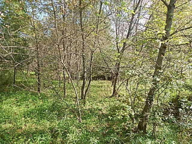 1771 Lawrence Road Hastings, MI 49058 - Photo 6 of 23 DSCN5562