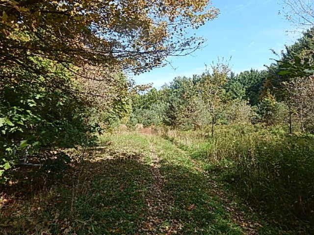 1771 Lawrence Road Hastings, MI 49058 - Photo 7 of 23 DSCN5563
