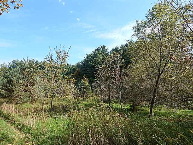 1771 Lawrence Road Hastings, MI 49058 - Photo 9 of 23 DSCN5564