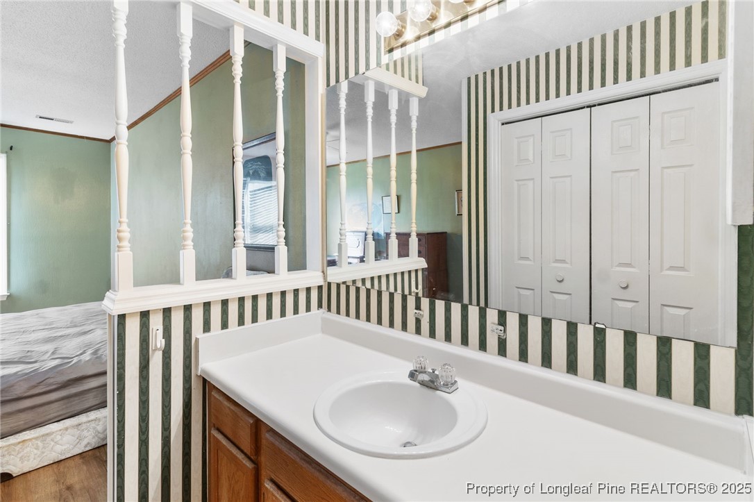 1132 Hoke Loop Road Fayetteville, NC 28314 - Photo 21 of 29 a bathroom with a sink and a mirror
