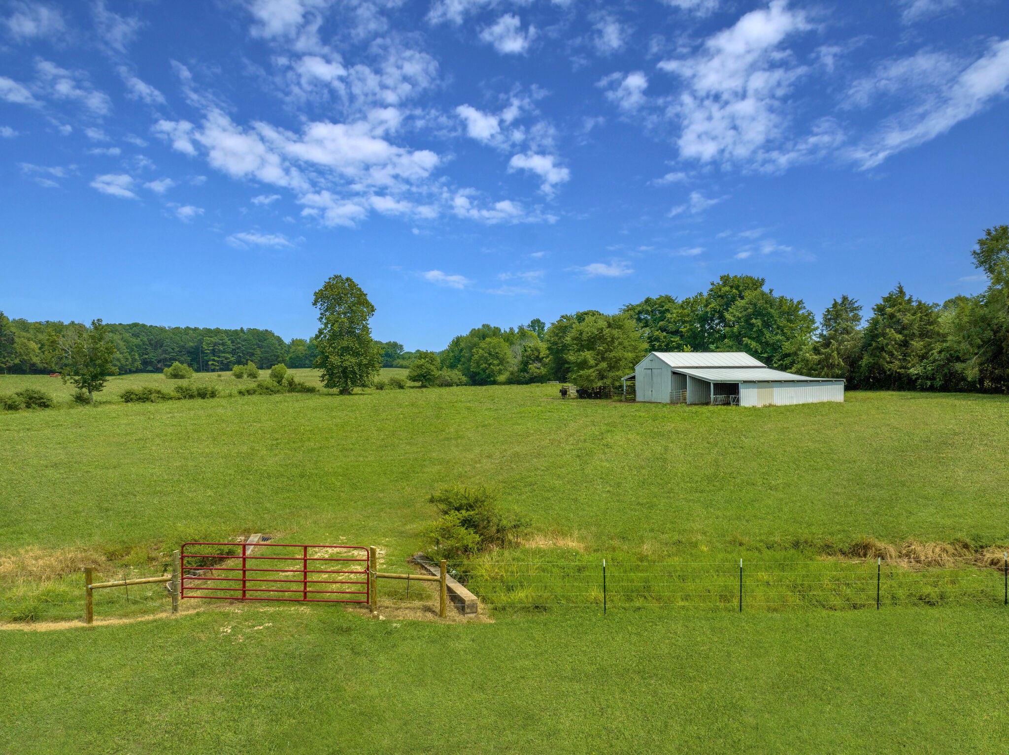 1095 Hargis Road McEwen, TN 37101 - Photo 8 of 69 Gallery Image 8