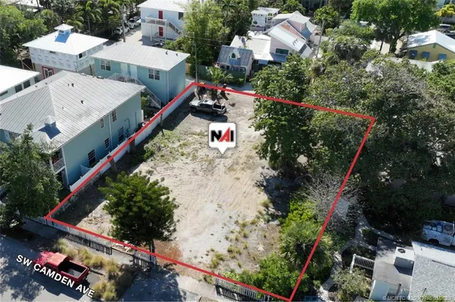 an aerial view of a house with a yard and a large tree