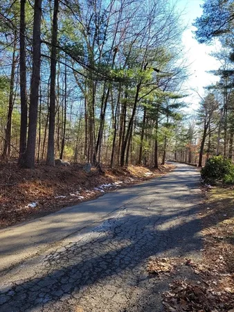 a view of a yard with large trees