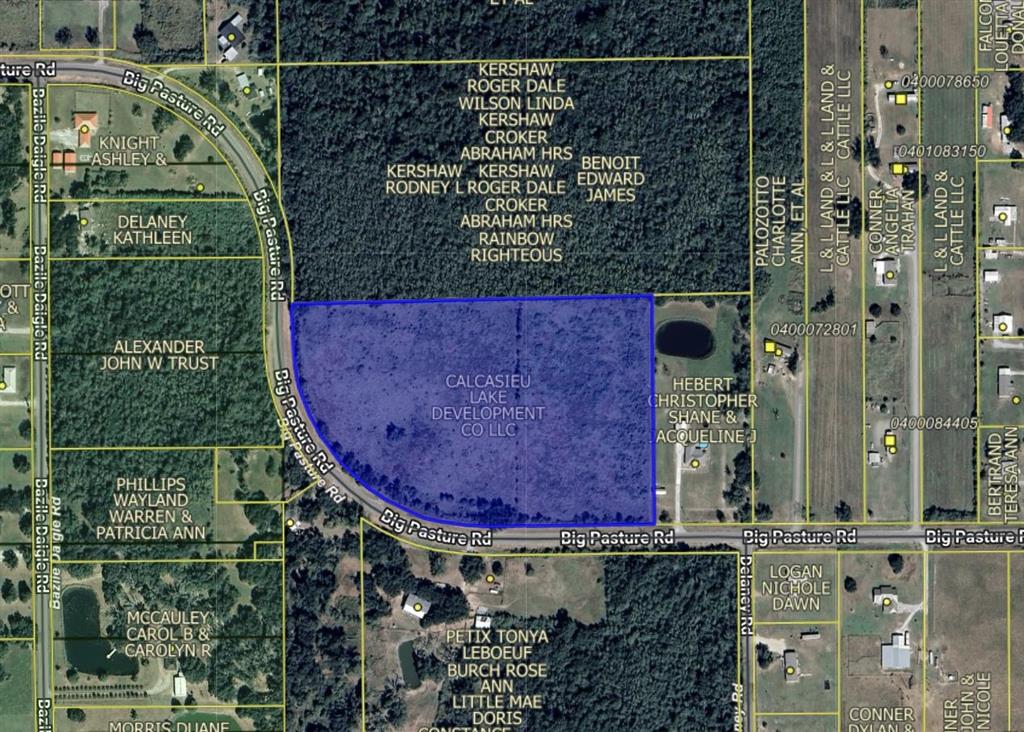 Big Pasture Road Lake Charles, LA 70607 - Photo 2 of 4