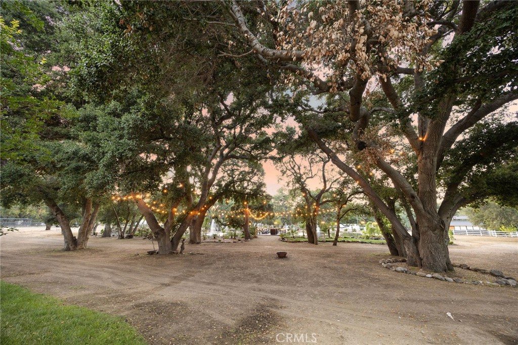 26933 Sand Canyon Road Canyon Country, CA 91387 - Photo 13 of 35