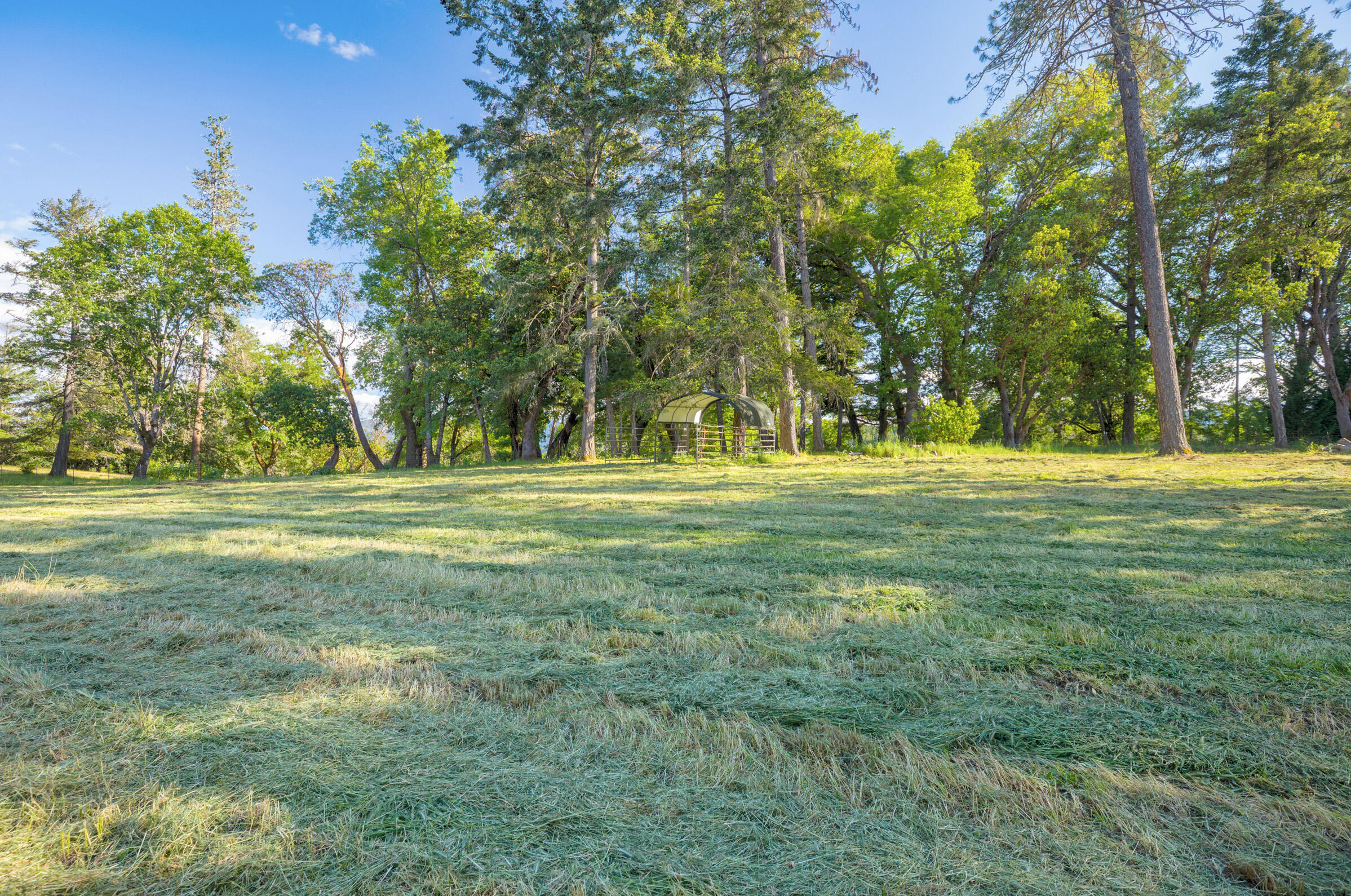 379 Oak Ranch Road Grants Pass, OR 97526 - Photo 33 of 38 27_side_pasture_1