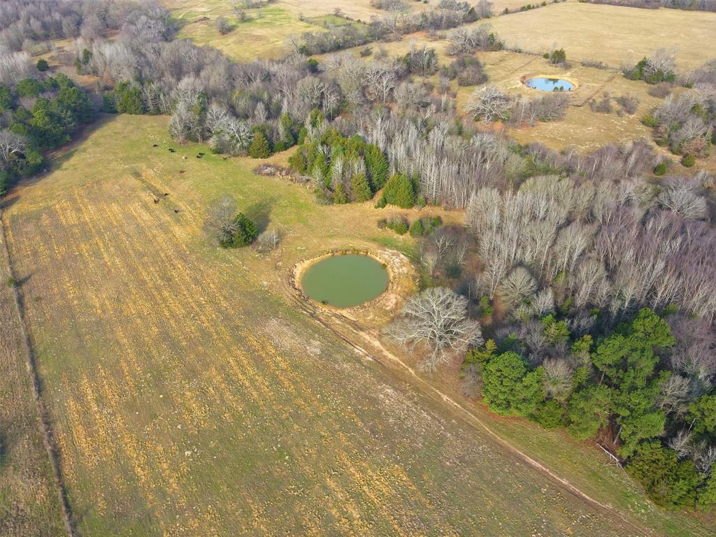 775 County Road 4919 Quitman, TX 75783 - Photo 15 of 19 a bathroom with a sink and mirror