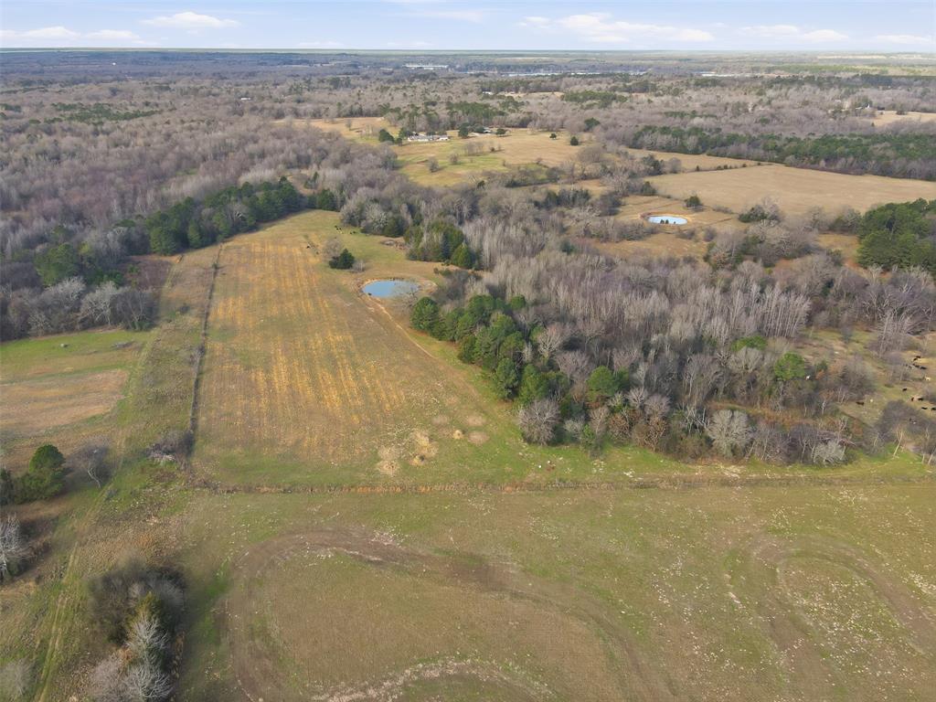 775 County Road 4919 Quitman, TX 75783 - Photo 3 of 19 a view of a yard