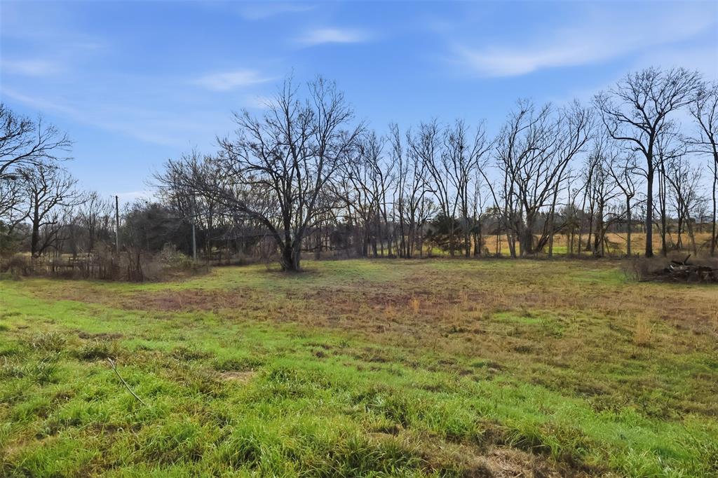 775 County Road 4919 Quitman, TX 75783 - Photo 6 of 19 a view of a field with trees