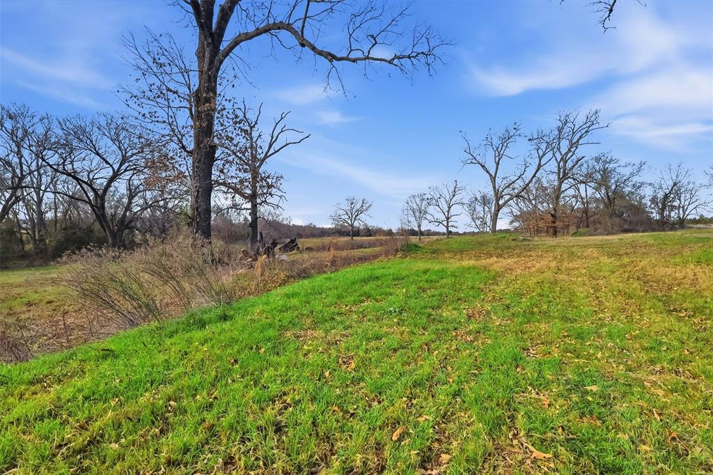 775 County Road 4919 Quitman, TX 75783 - Photo 8 of 19 a view of yard