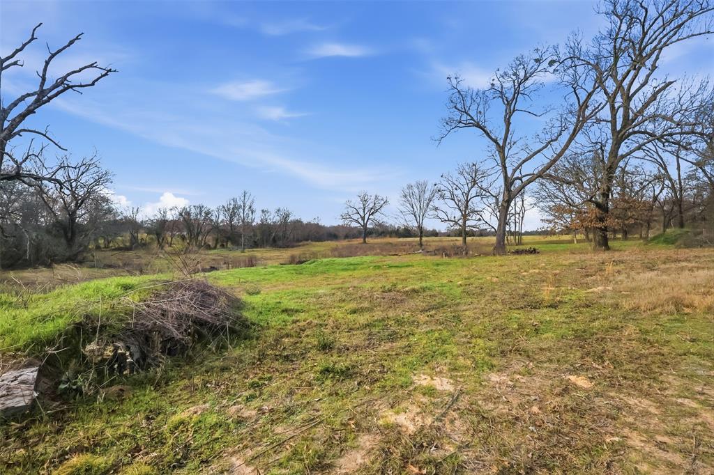 775 County Road 4919 Quitman, TX 75783 - Photo 9 of 19 a view of yard with swimming pool and green space