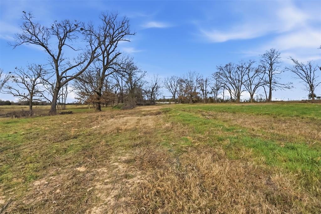 775 County Road 4919 Quitman, TX 75783 - Photo 10 of 19 a yard with trees in the background