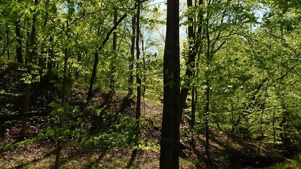 0 Lee's Ridge Road Martinsville, VA 24112 - Photo 18 of 26 Gallery Image 18