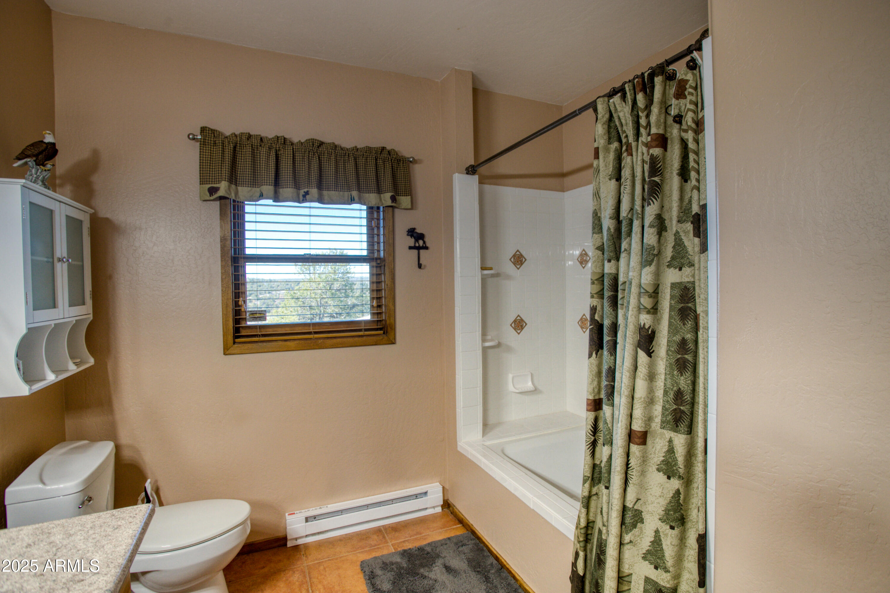 3651 Zane Grey Trail Overgaard, AZ 85933 - Photo 9 of 39 PaxmanPh_IMG_9842