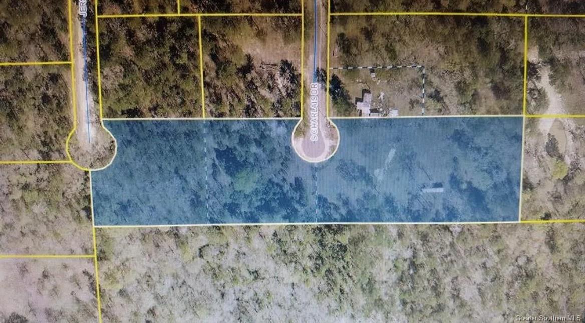 111 South Charlais Drive Ragley, LA 70657 - Photo 2 of 7