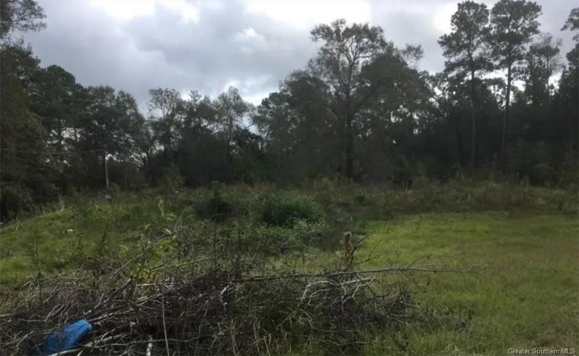 111 South Charlais Drive Ragley, LA 70657 - Photo 4 of 7