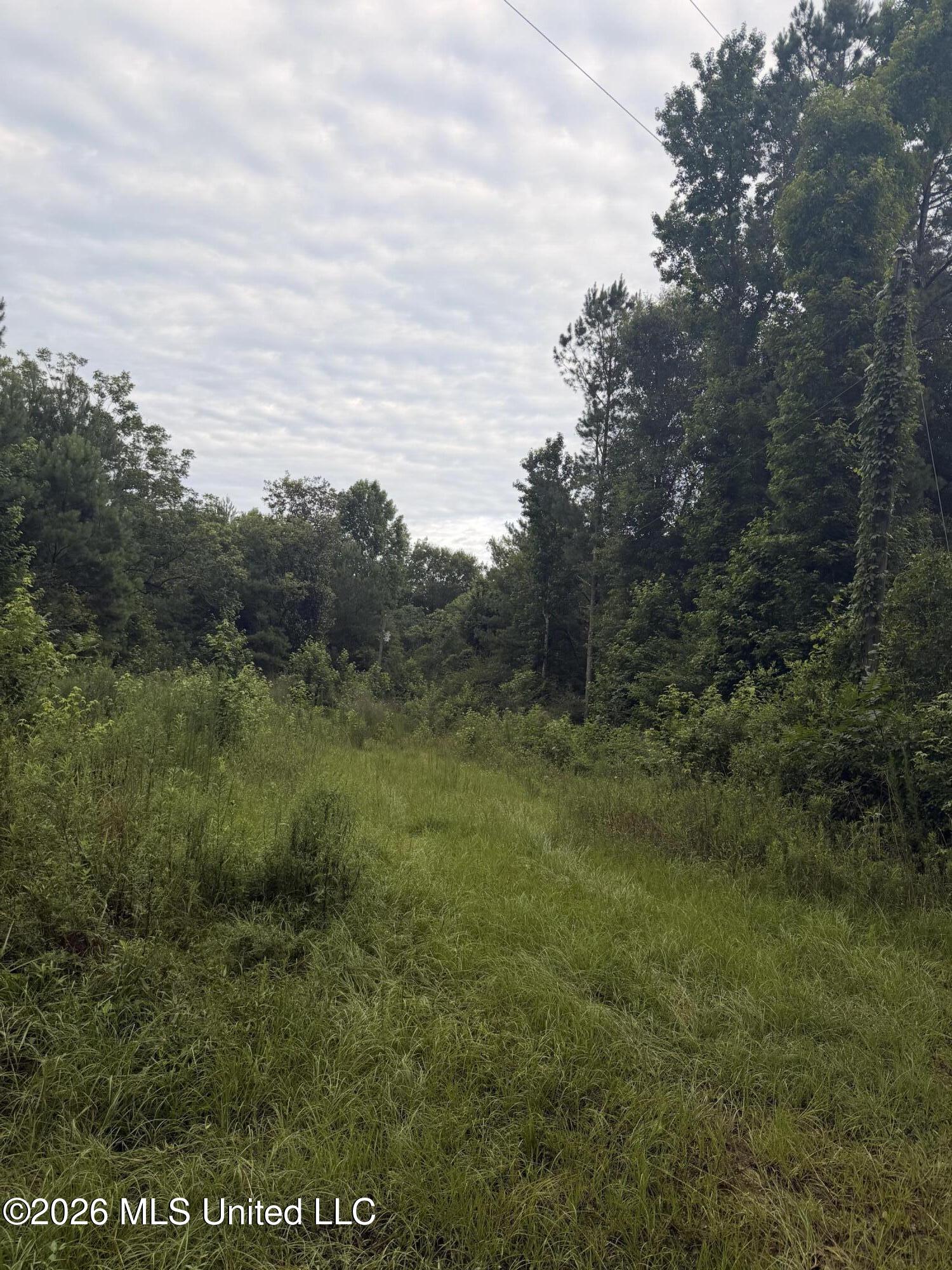 0 Candy Lane McComb, MS 39648 - Photo 3 of 11 IMG_4558