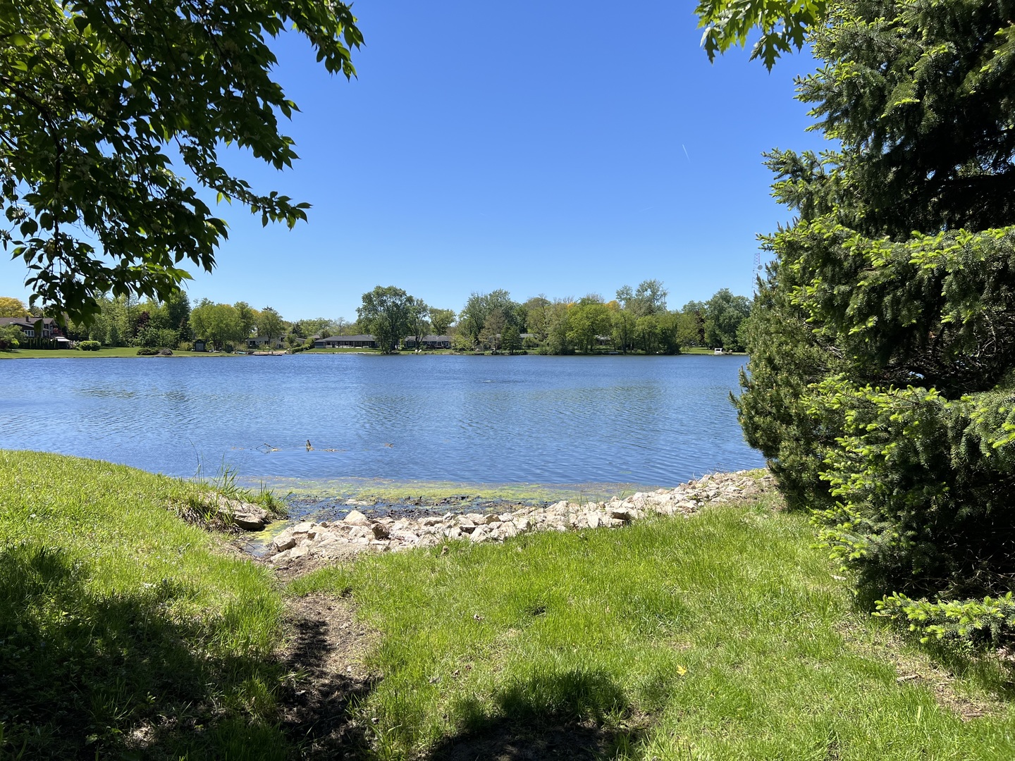 806 Plainfield Road Downers Grove, IL 60516 - Photo 9 of 16 a view of a lake with houses in the back