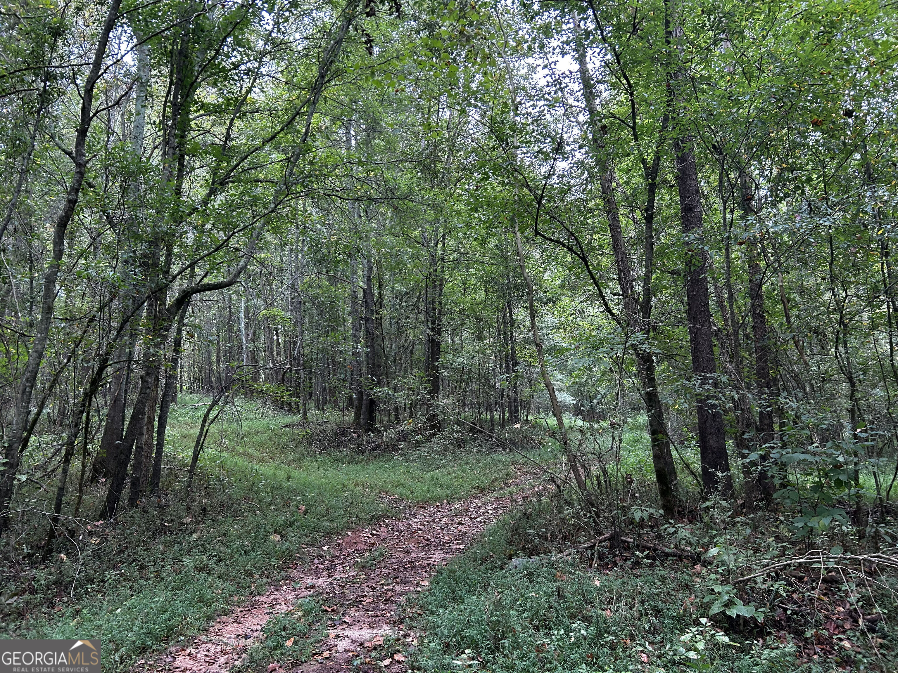211 Toney Road Commerce, GA 30529 - Photo 22 of 32 Gallery Image 22