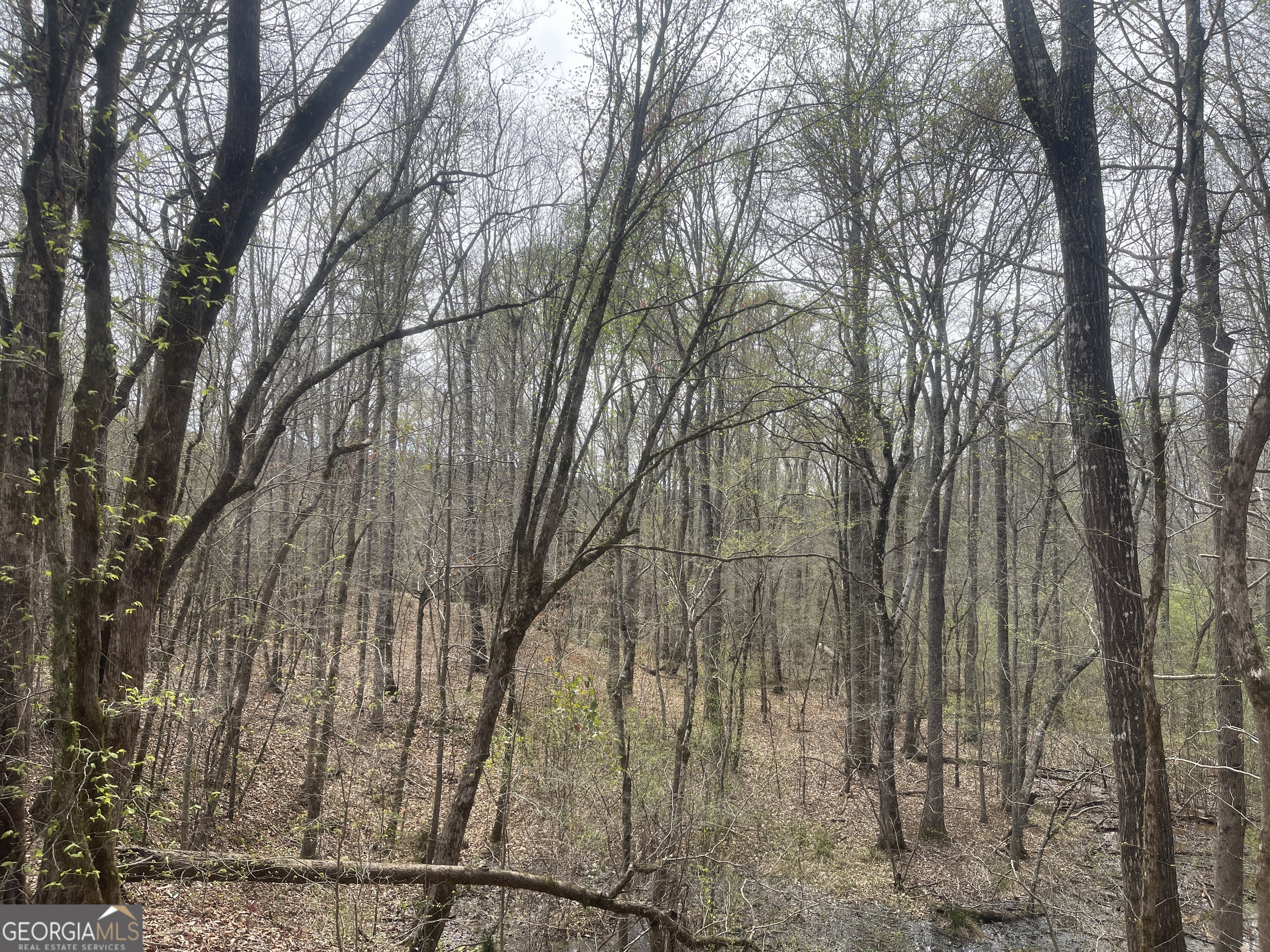 0 Bevis Rd Parcel 4 Franklin, GA 30217 - Photo 1 of 6 a backyard of a house with lots of green space