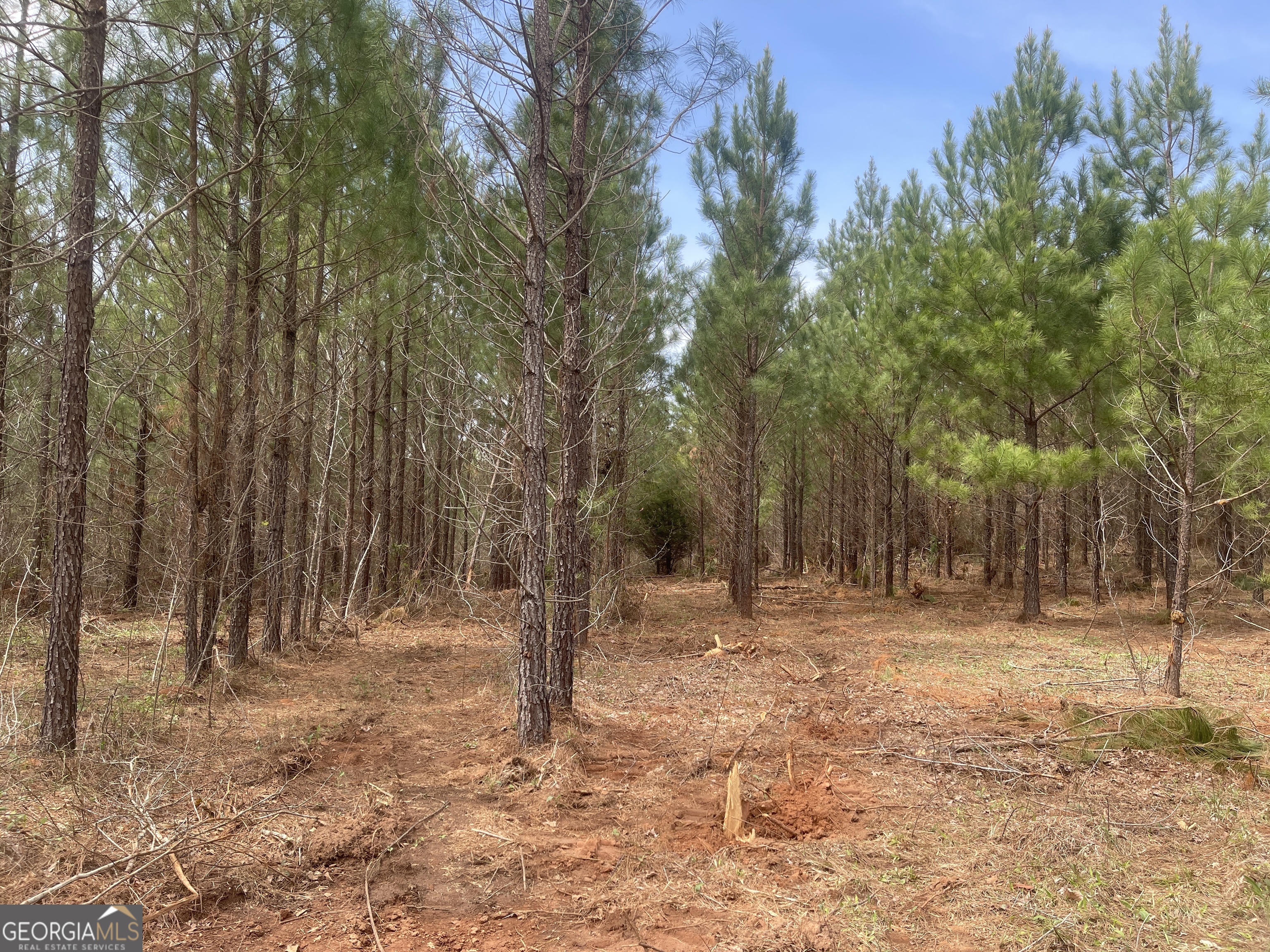 0 Bevis Rd Parcel 4 Franklin, GA 30217 - Photo 2 of 6 a backyard of a house with trees