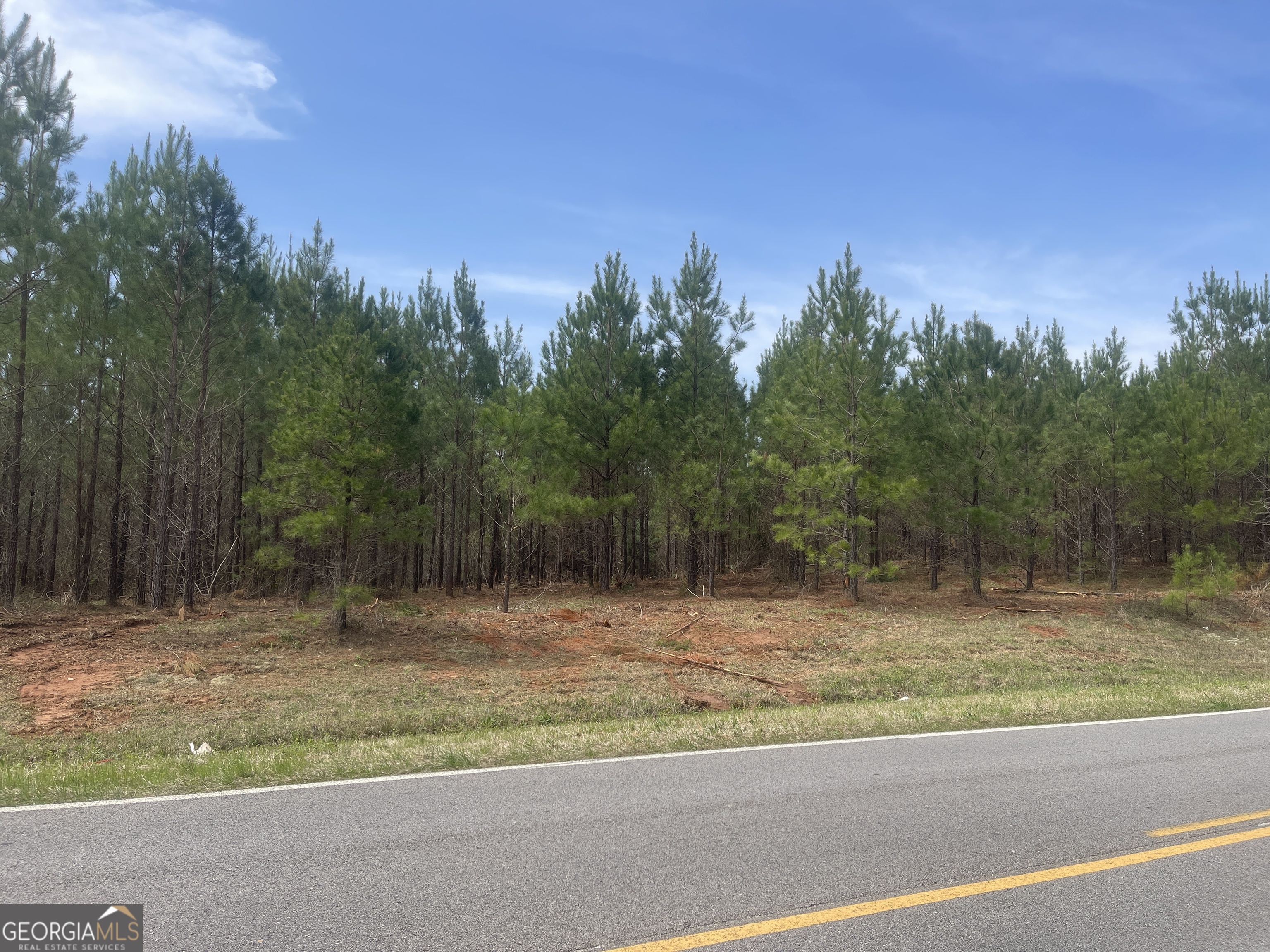 0 Bevis Rd Parcel 4 Franklin, GA 30217 - Photo 4 of 6 a view of a yard with a space and wooden fence