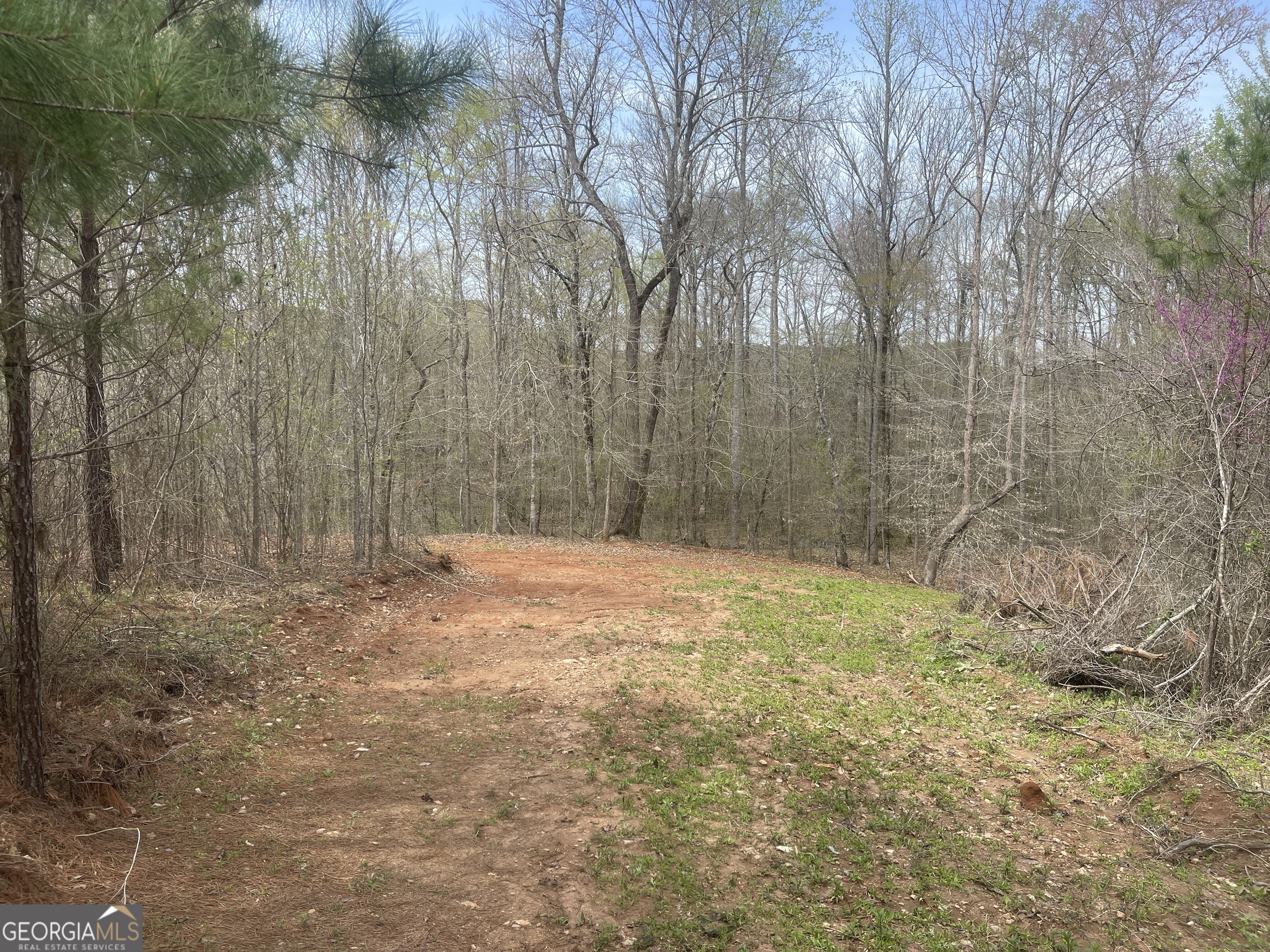 0 Bevis Rd Parcel 4 Franklin, GA 30217 - Photo 5 of 6 a view of a yard with large trees